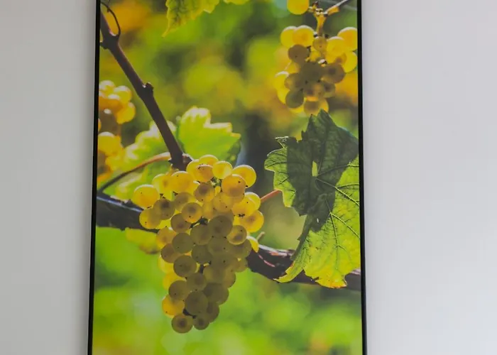 X O #hyper-centre #netflix