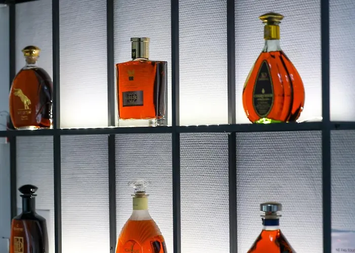 Apartment X O #hyper-centre #netflix